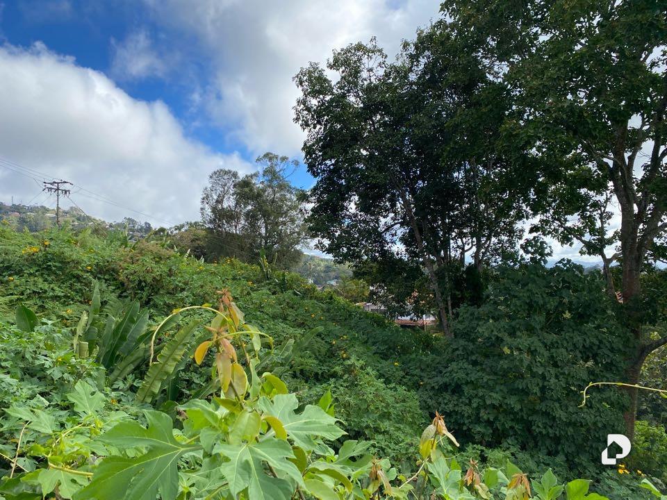 Land in Las Marías, Caracas – 5