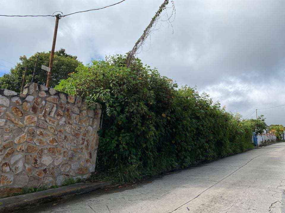 Terreno en Las Marías, Caracas - 1