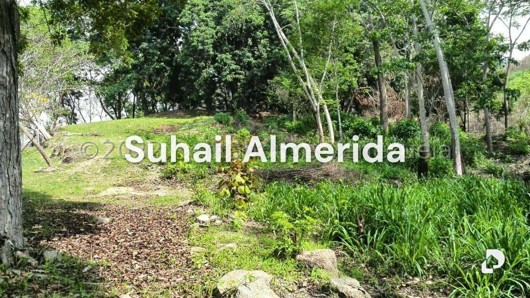 Terreno en Carialinda, Naguanagua – 2