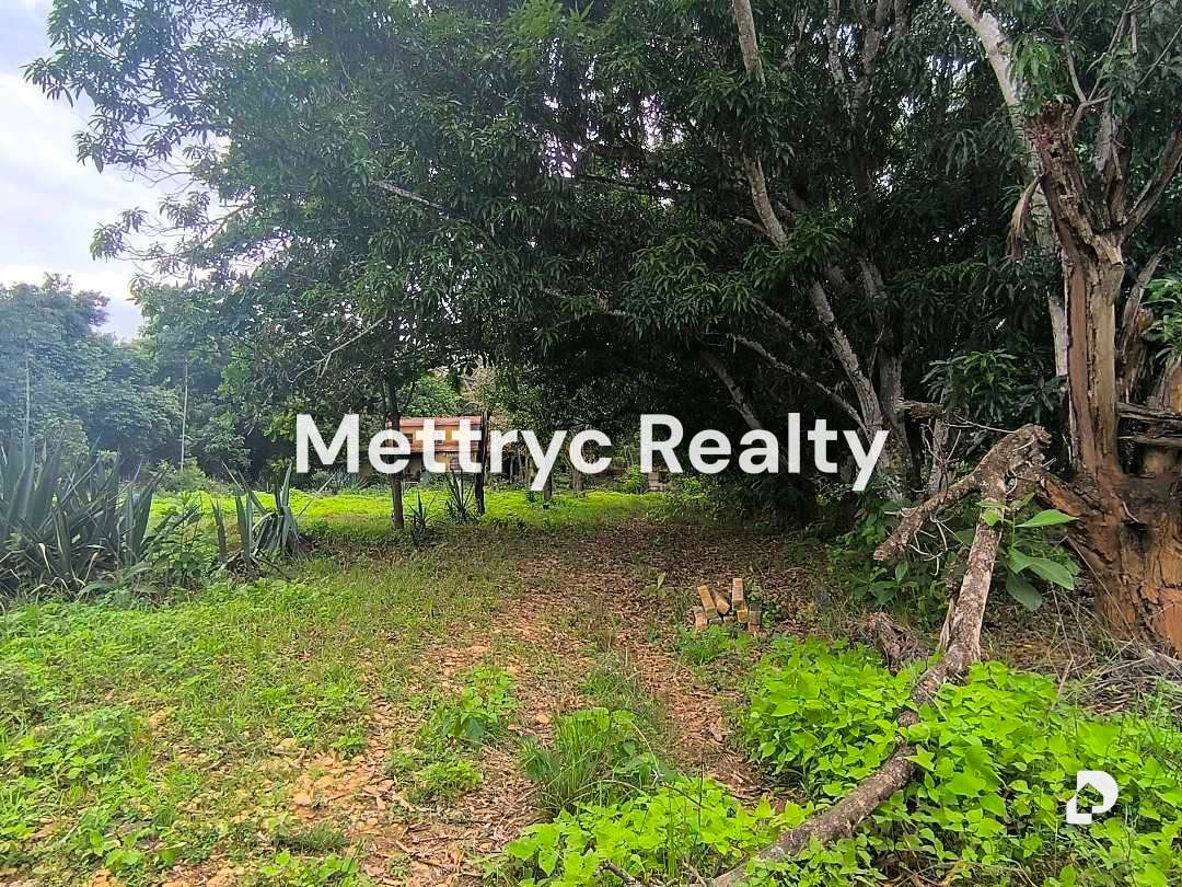 Finca en Sabana Del Medio, Valencia – 36