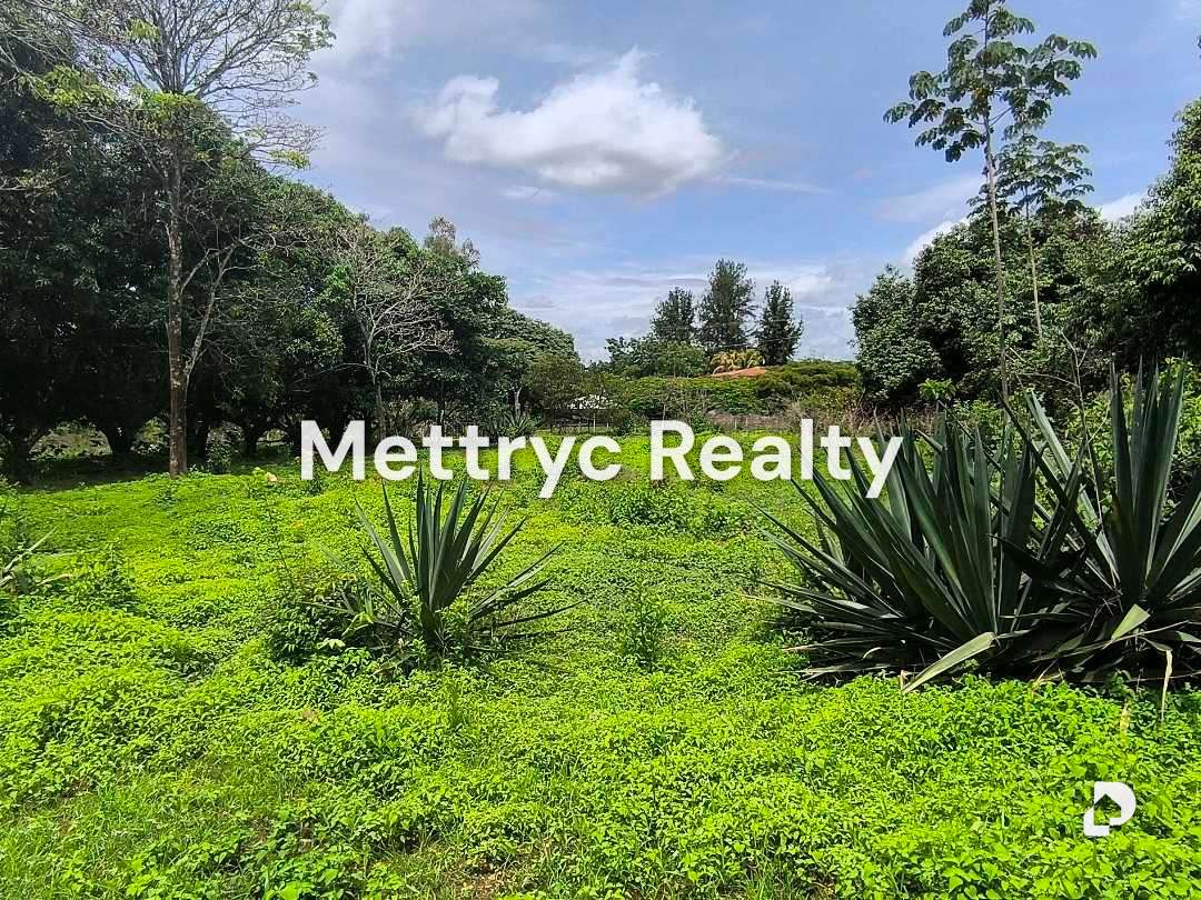 Finca en Sabana Del Medio, Valencia – 27