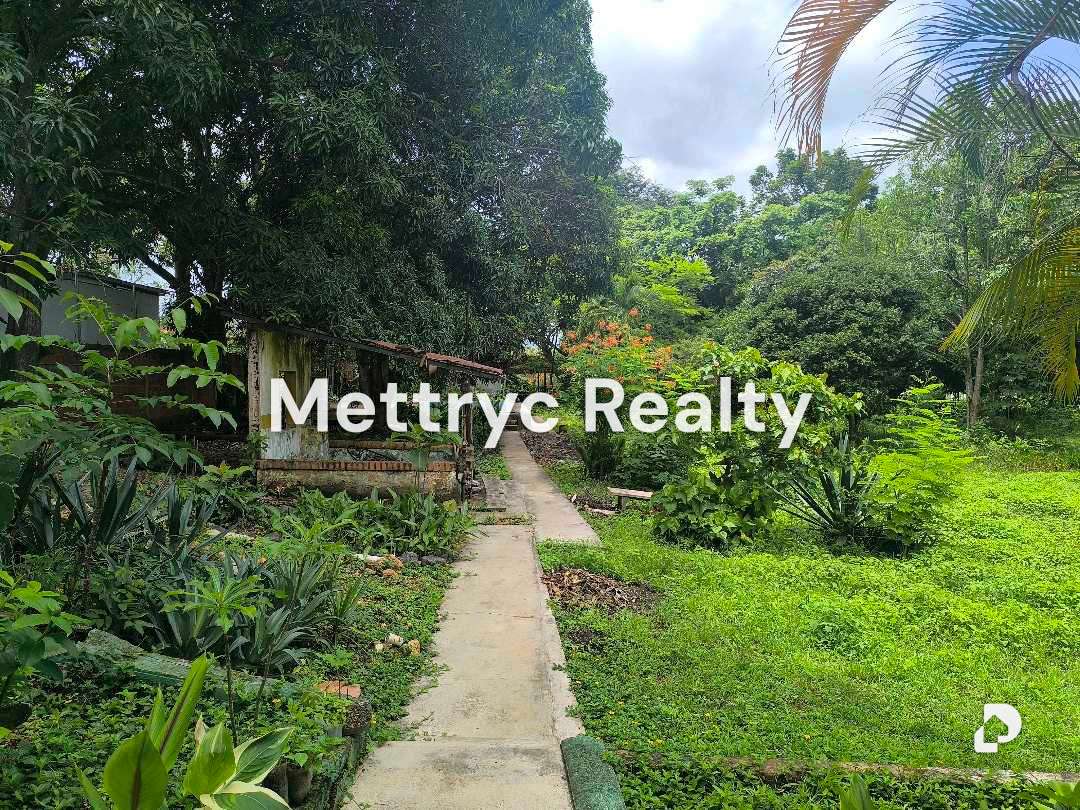Finca en Sabana Del Medio, Valencia – 24