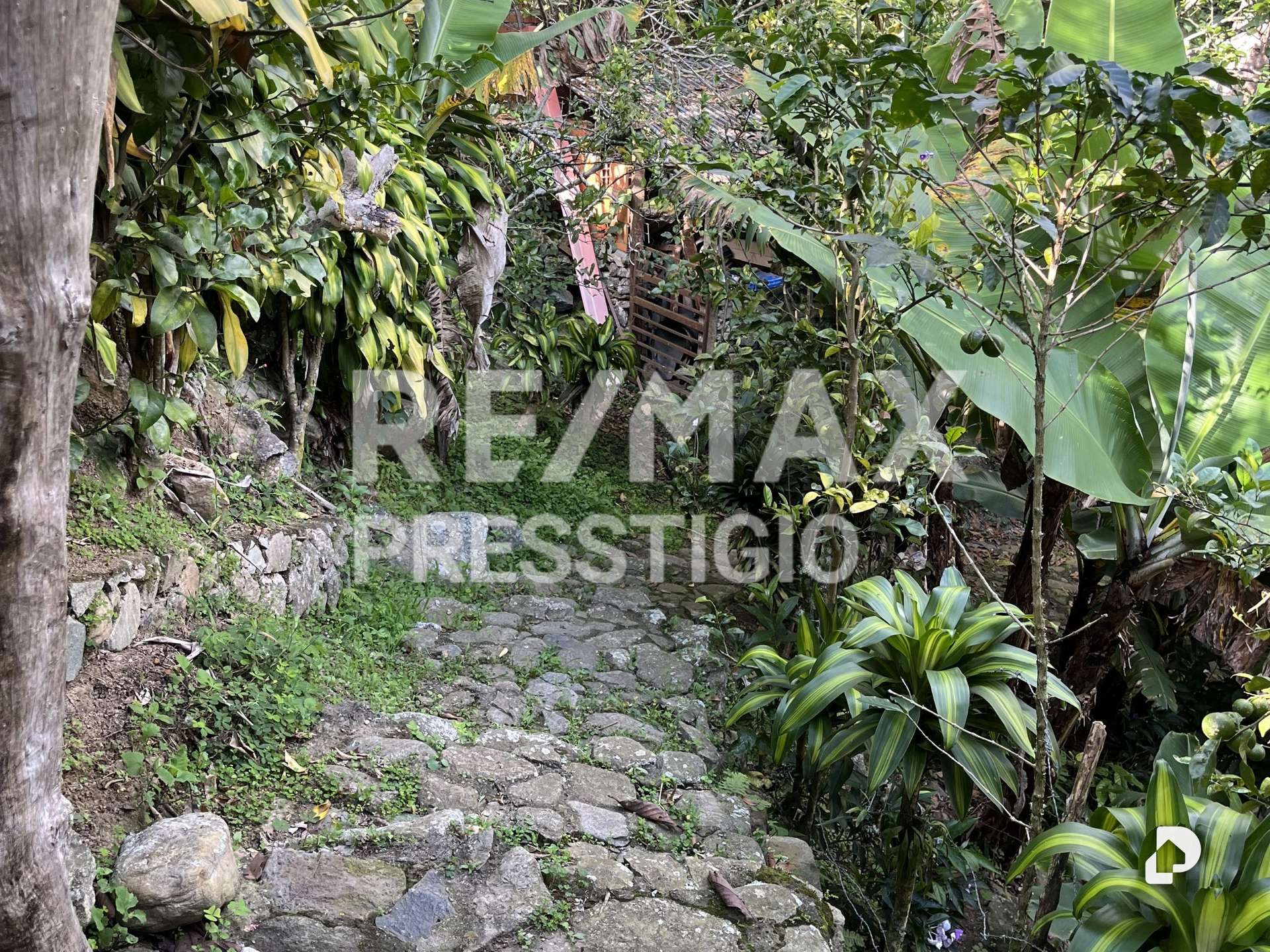Casa en Parroquia Montalbán, Ejido – 10