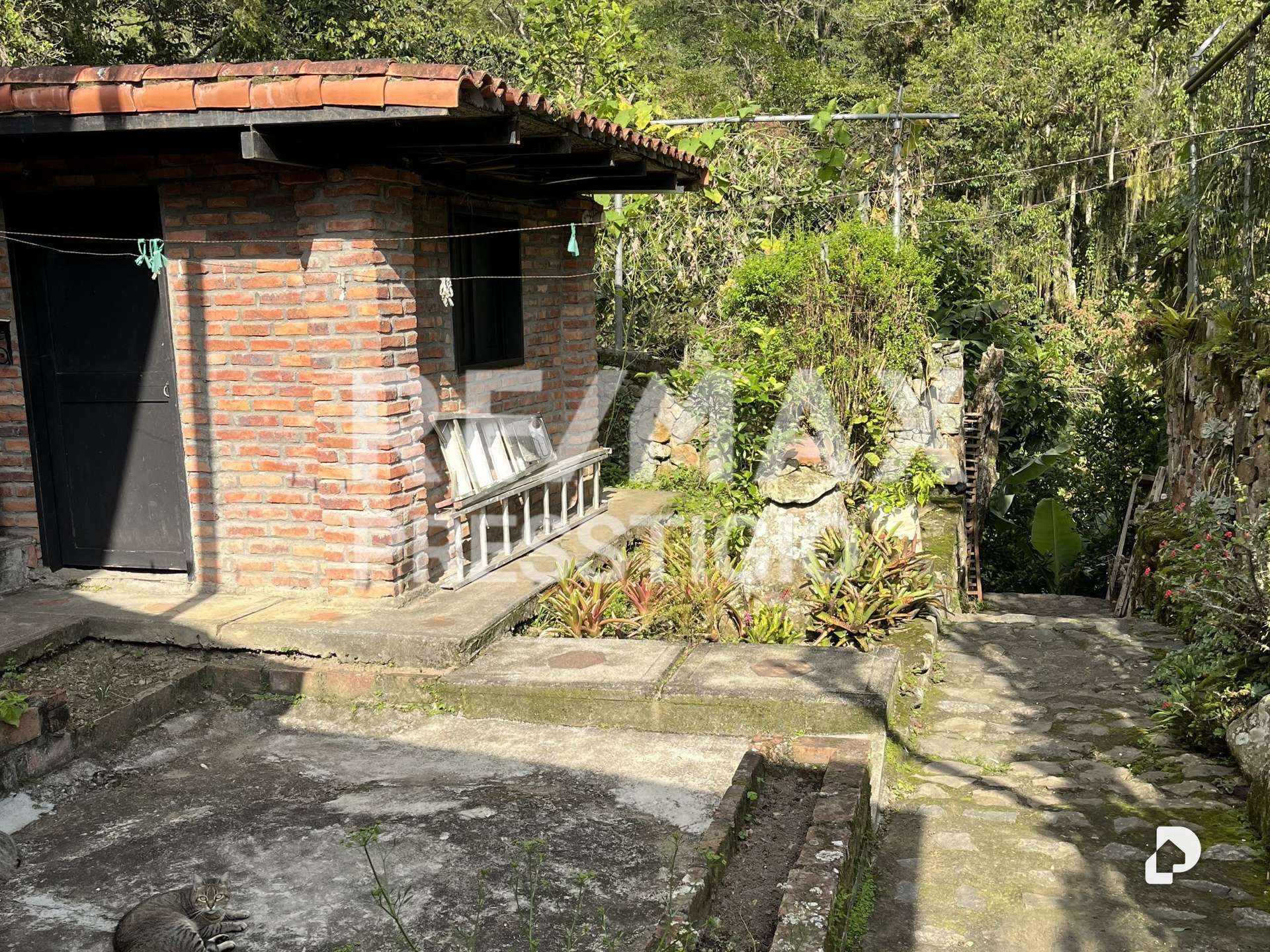 Casa en Parroquia Montalbán, Ejido – 8