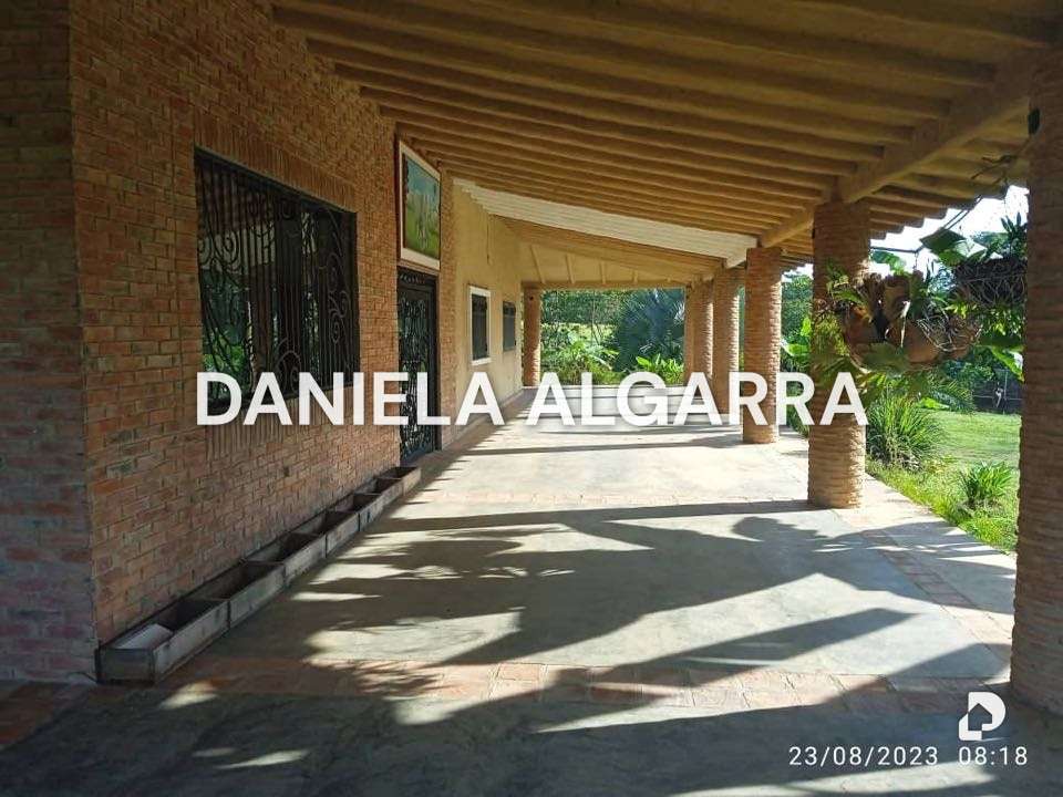 Farm in Centro Araure, Araure – 7