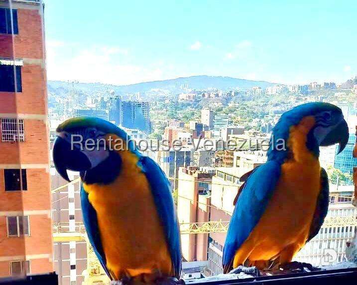 Apartamento en El Rosal, Caracas – 8