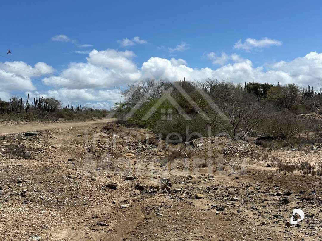 Terreno en El Manglillo – 4