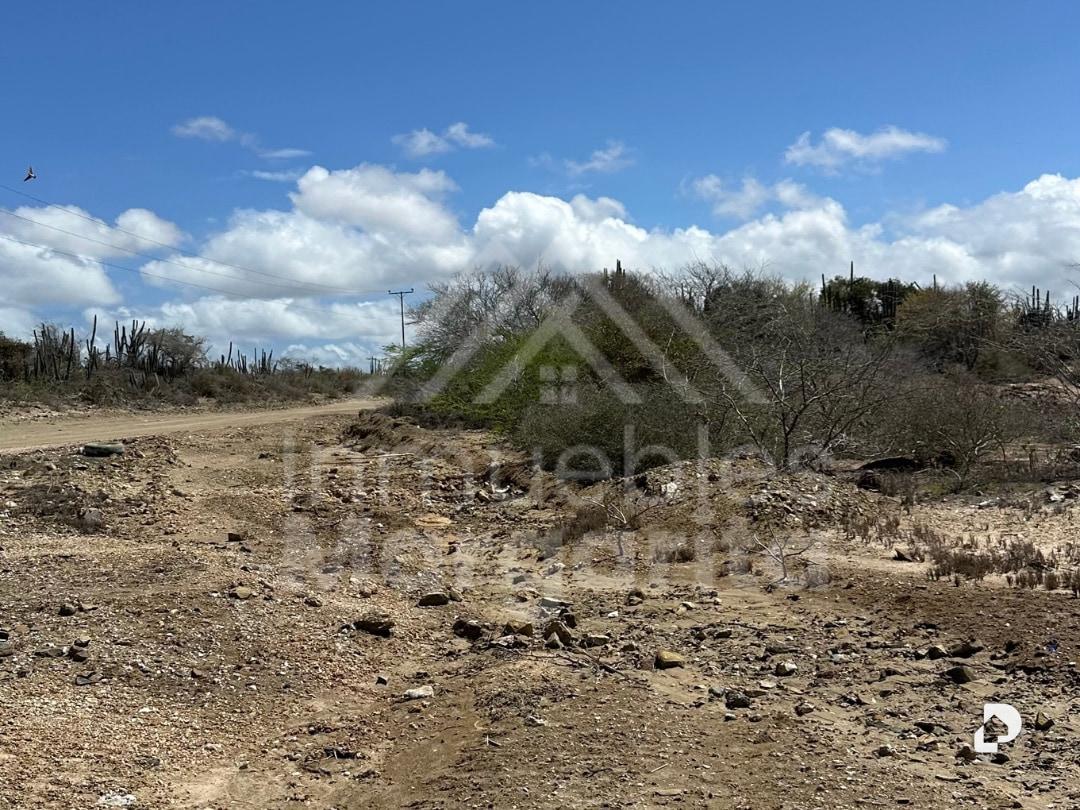 Terreno en El Manglillo – 4