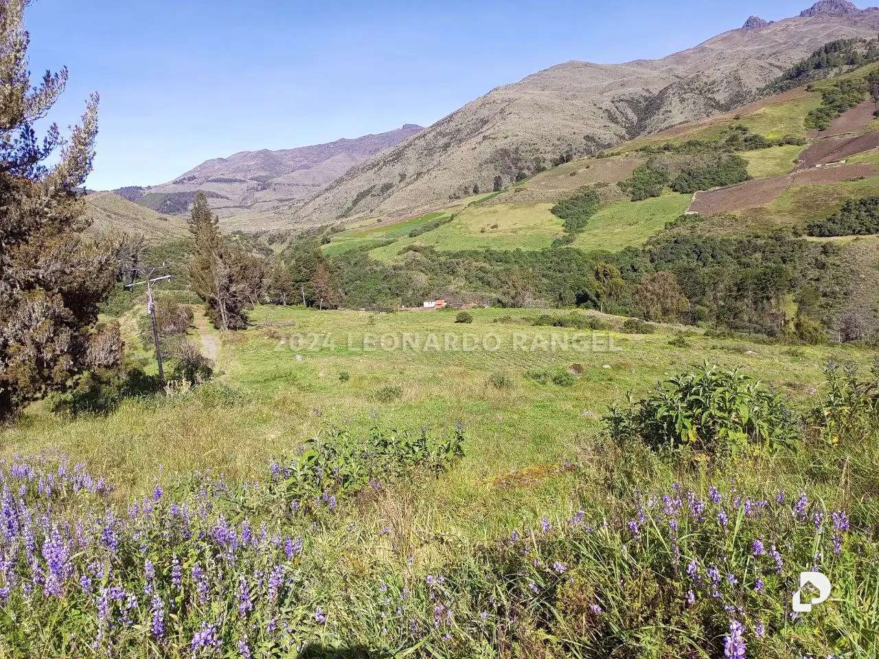 Finca en Las Tapias, Santo Domingo – 27