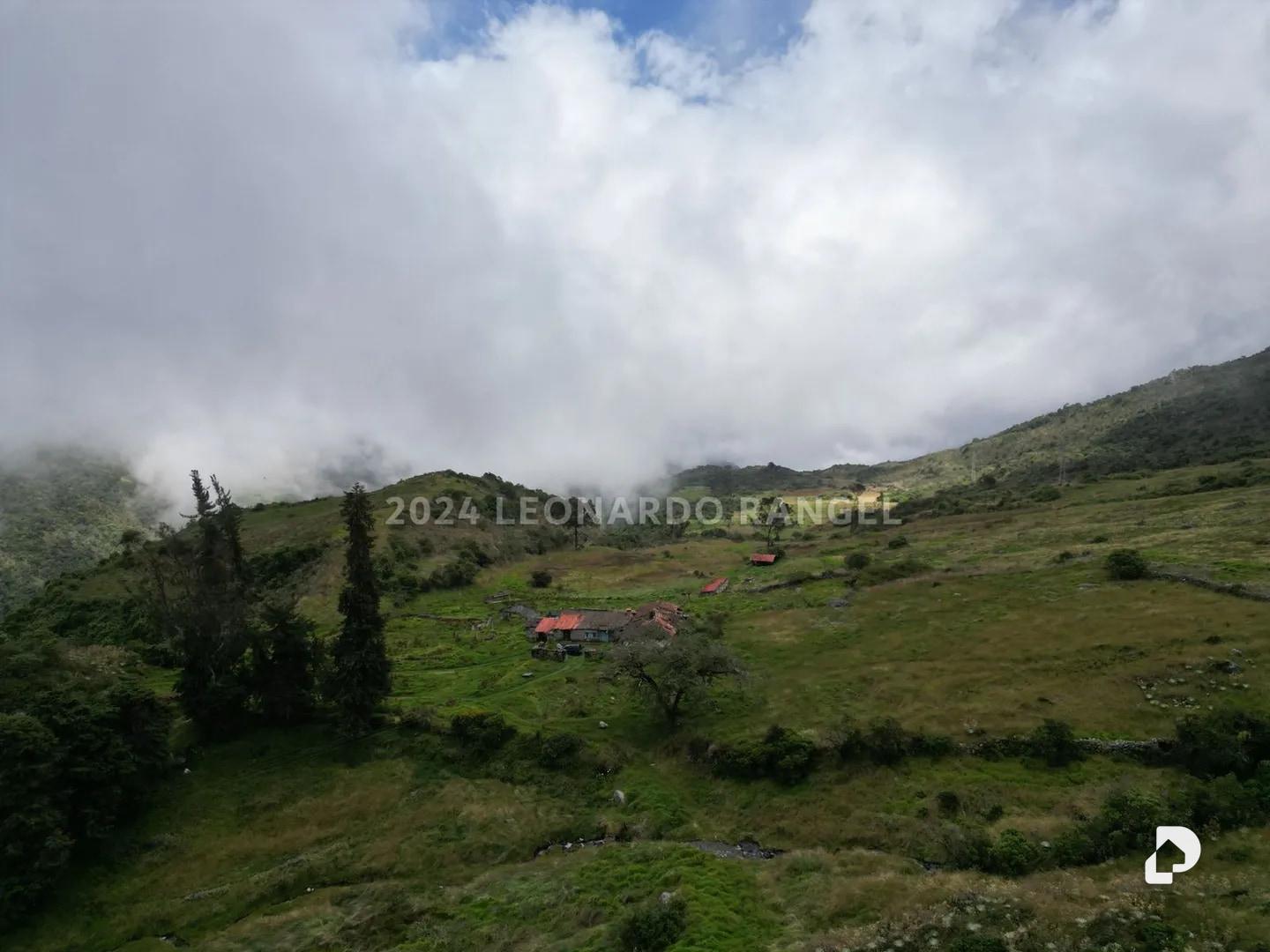 Finca en Las Tapias, Santo Domingo – 4