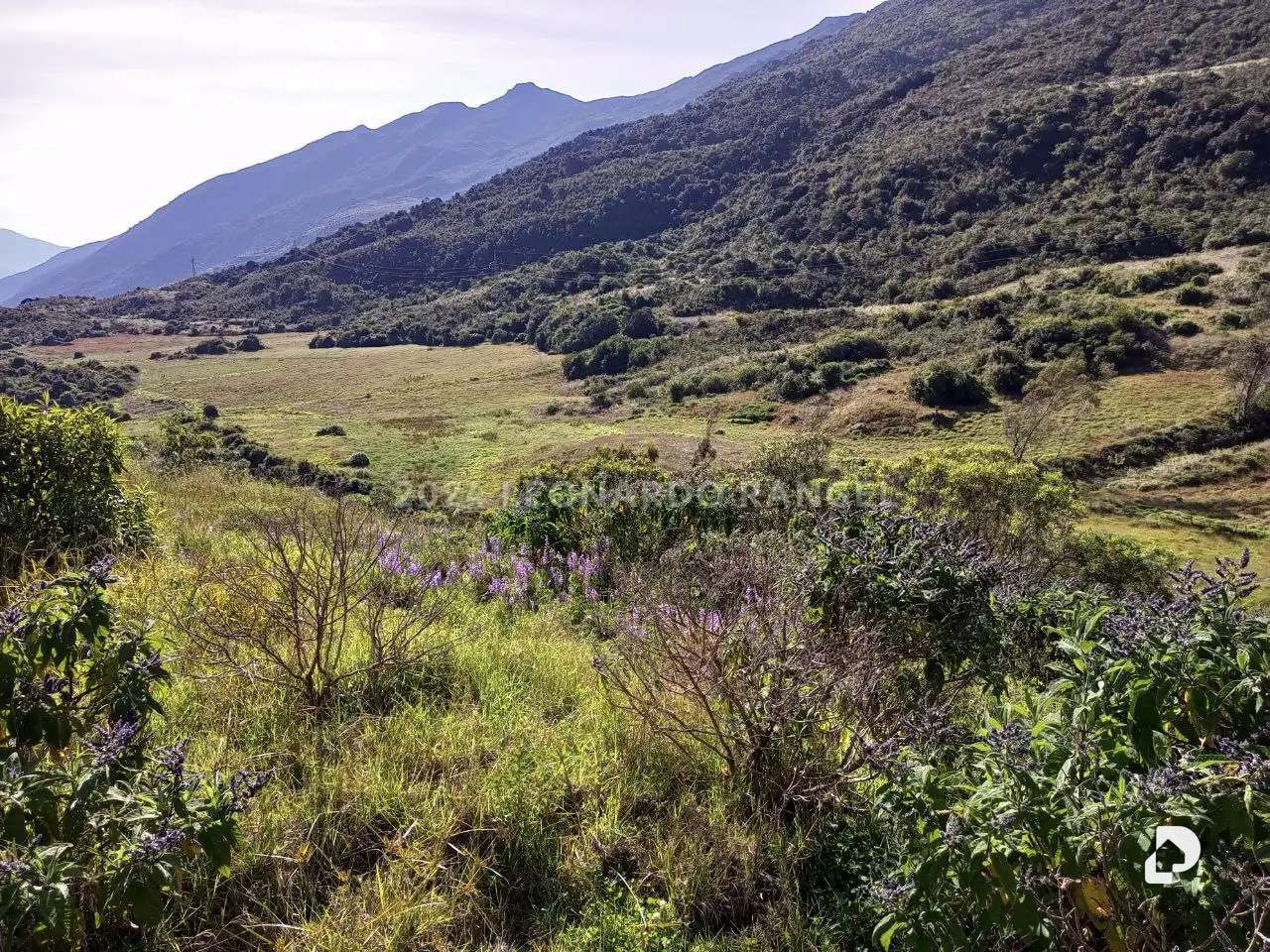 Finca en Las Tapias, Santo Domingo – 17