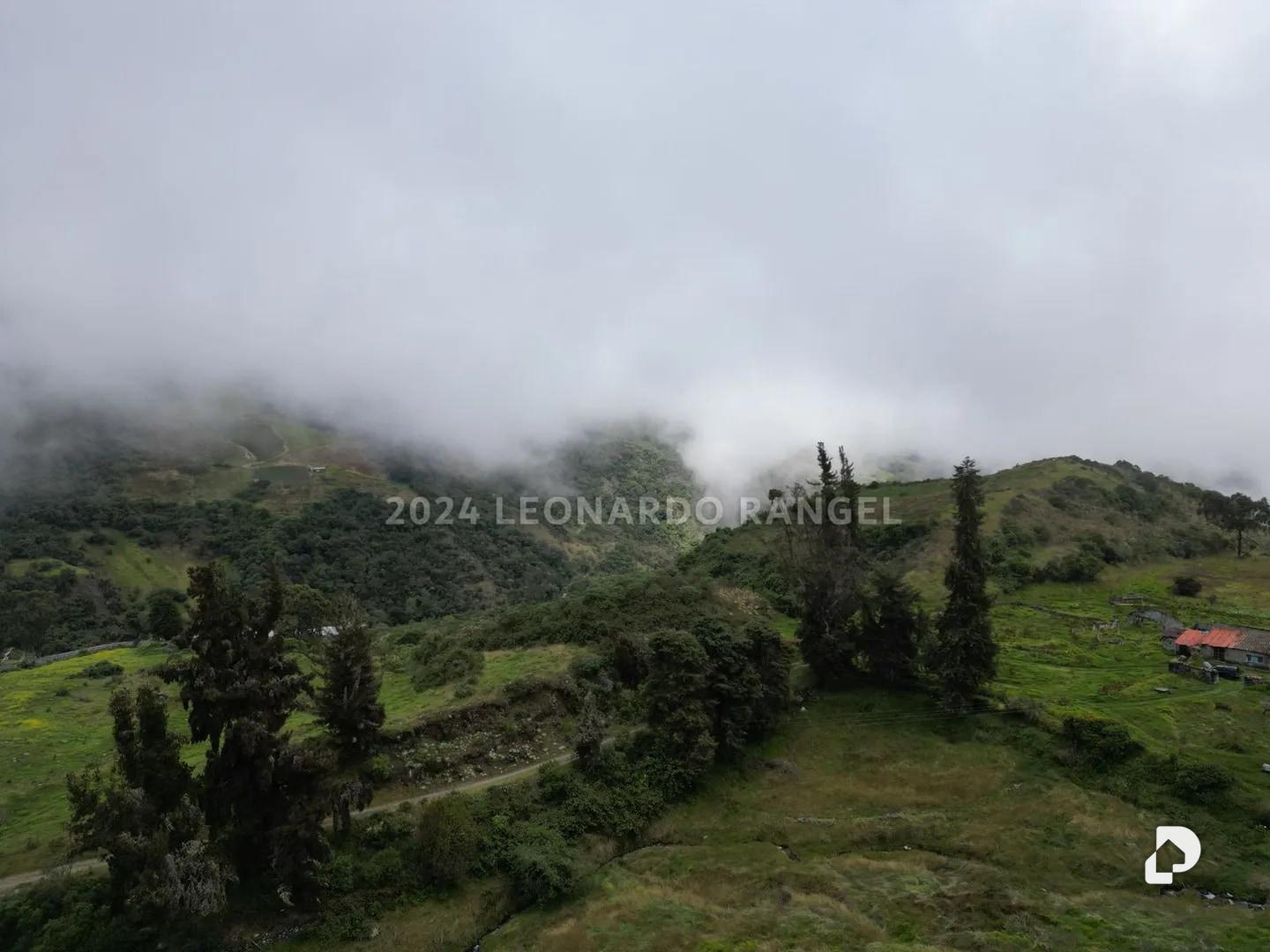 Finca en Las Tapias, Santo Domingo – 3