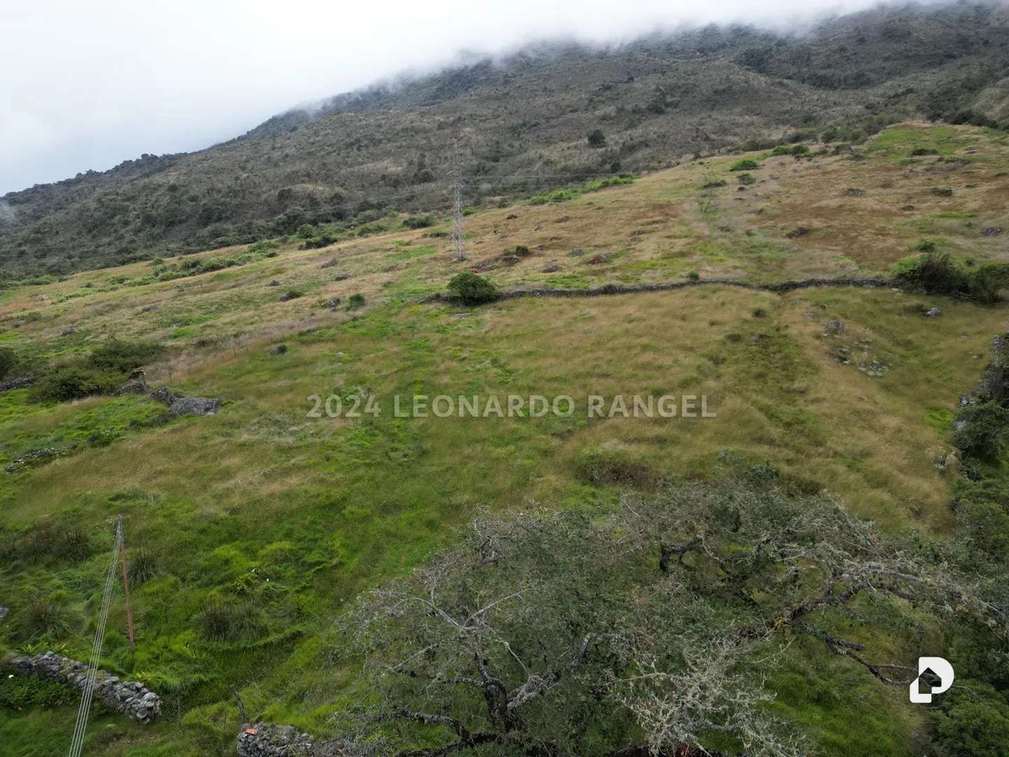 Finca en Las Tapias, Santo Domingo – 15