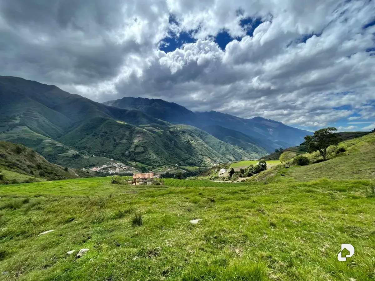 Finca en Cacute Alto, Cacute – 27