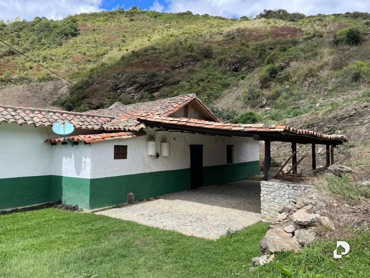 Finca en Cacute Alto, Cacute – 13