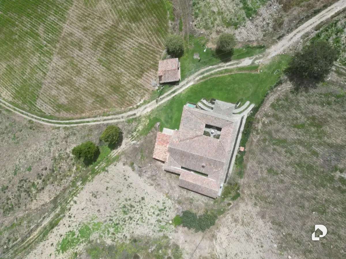 Finca en Cacute Alto, Cacute – 3