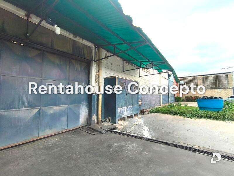 Local comercial en Flor Amarillo, Valencia – 21
