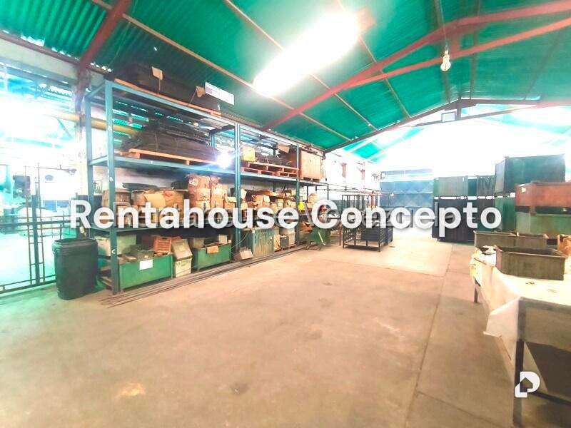 Local comercial en Flor Amarillo, Valencia – 16