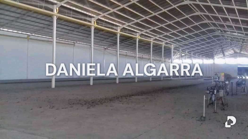 Galpón en Zona Ind. Municipal, Valencia – 11