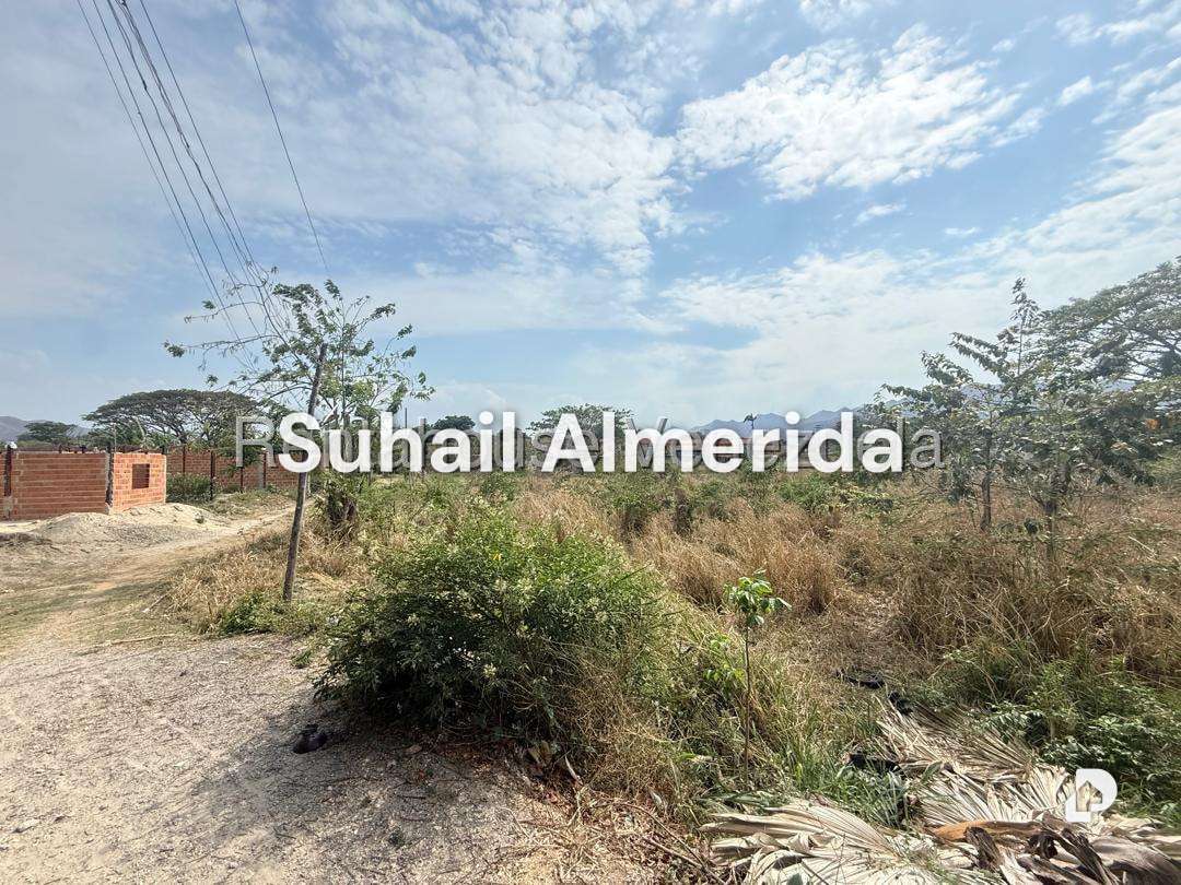 Terreno en Pueblo de San Diego, San Diego – 12