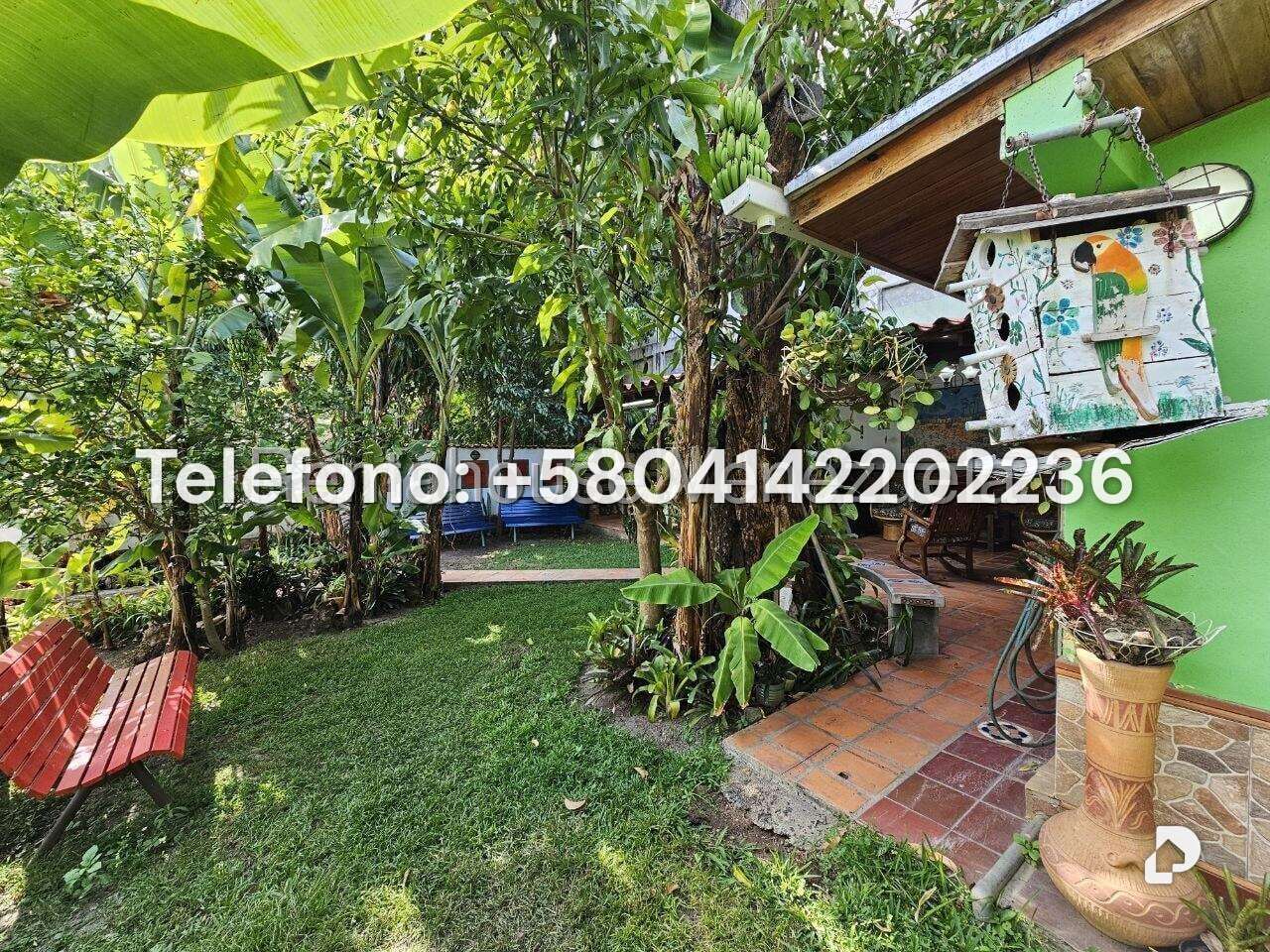 Casa en Los Palos Grandes, Caracas – 59