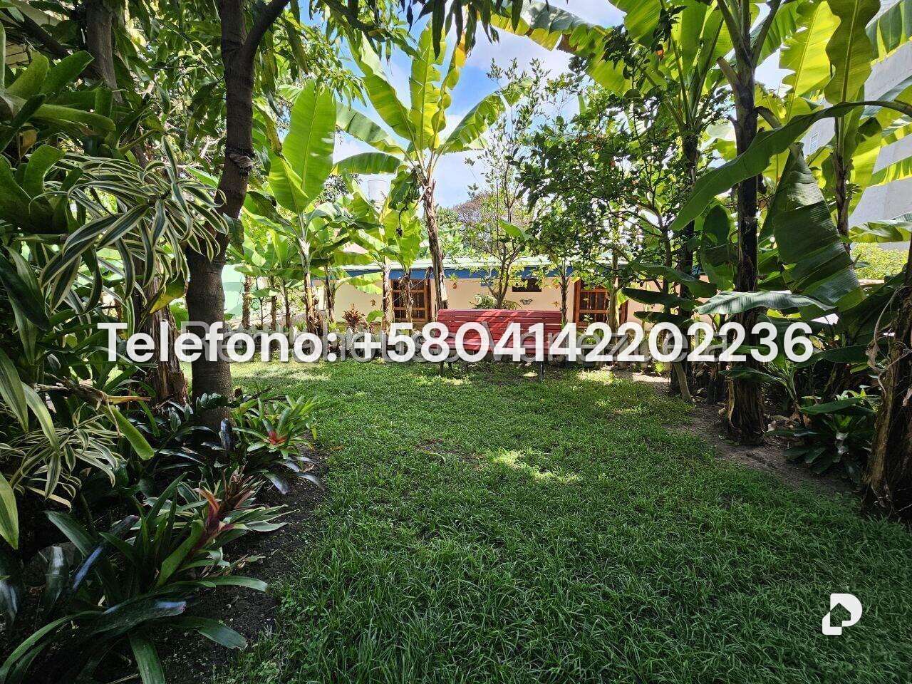 Casa en Los Palos Grandes, Caracas – 56