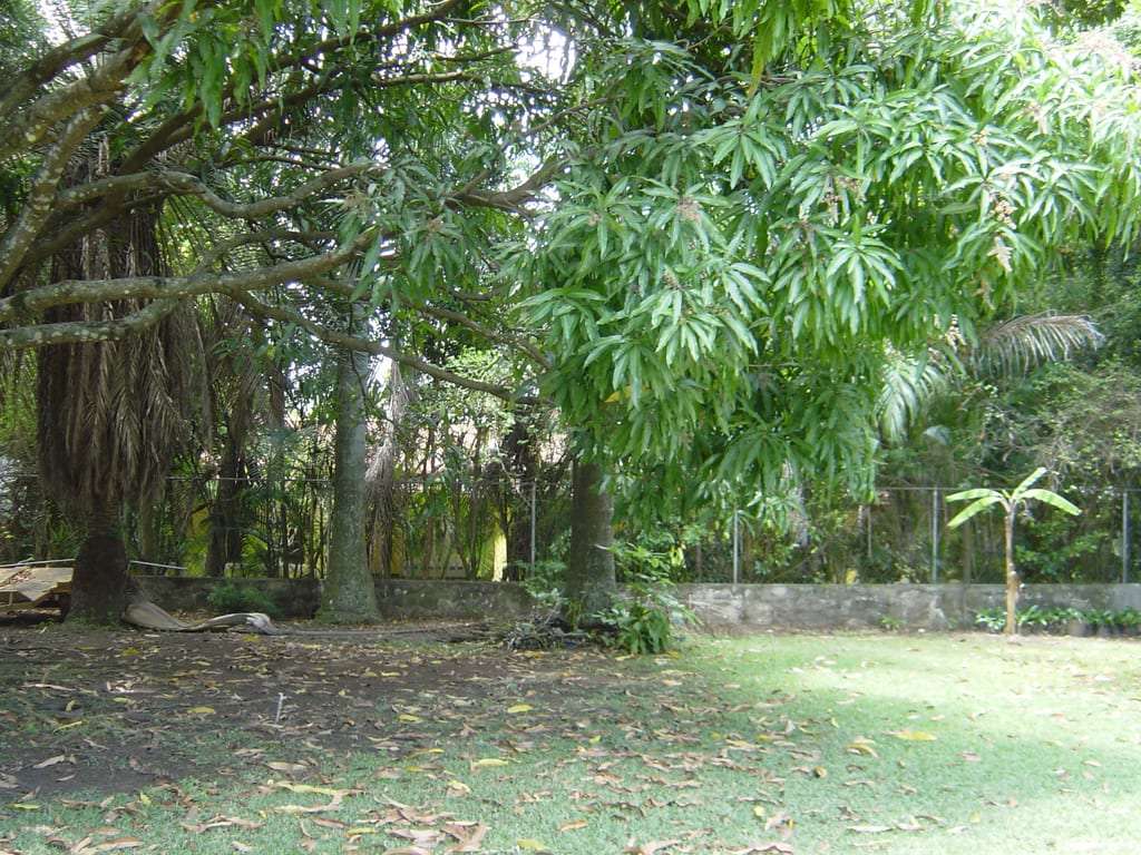 Terreno en Country Club, Caracas - 1