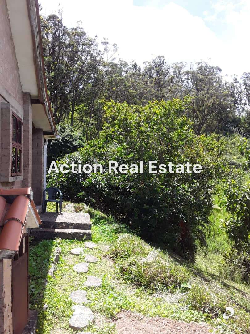 Terreno en San Pedro, Altos Mirandinos – 21
