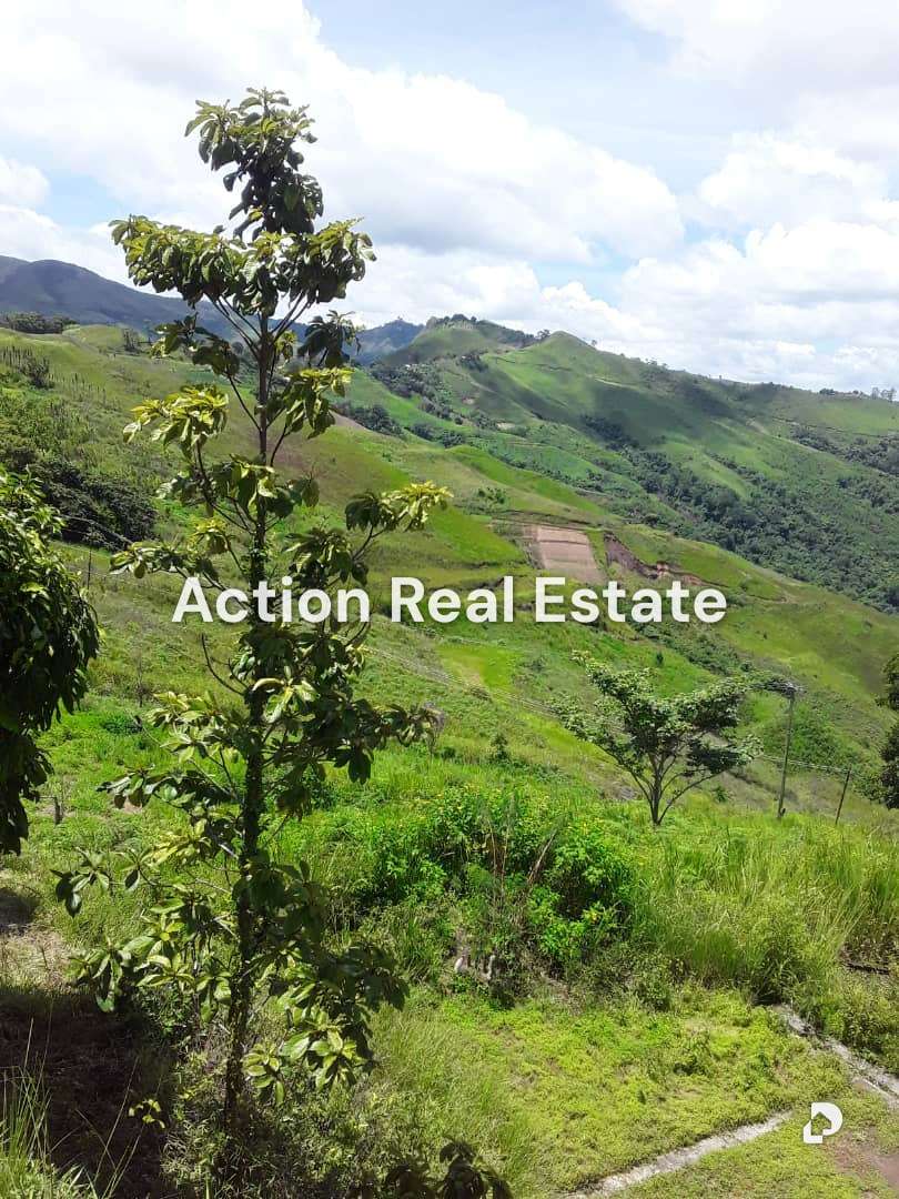 Terreno en San Pedro, Altos Mirandinos – 8