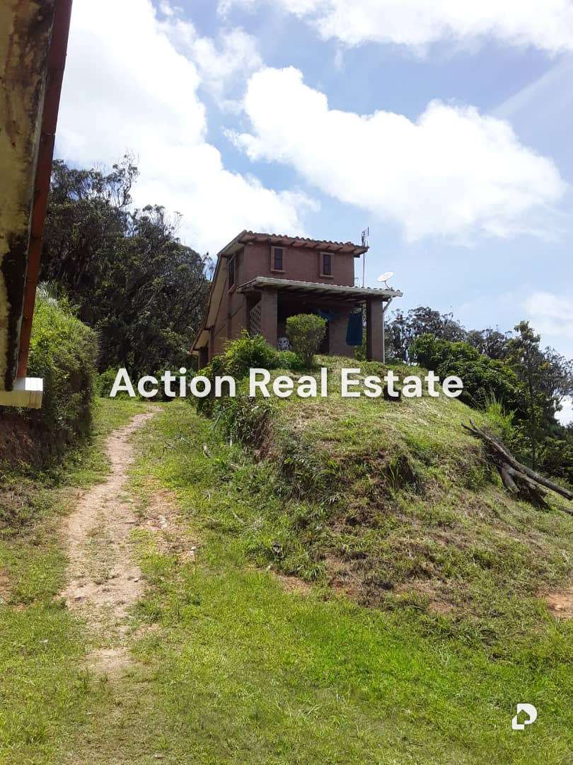 Terreno en San Pedro, Altos Mirandinos – 11