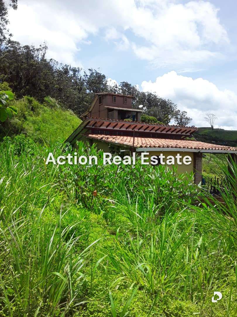 Terreno en San Pedro, Altos Mirandinos – 4