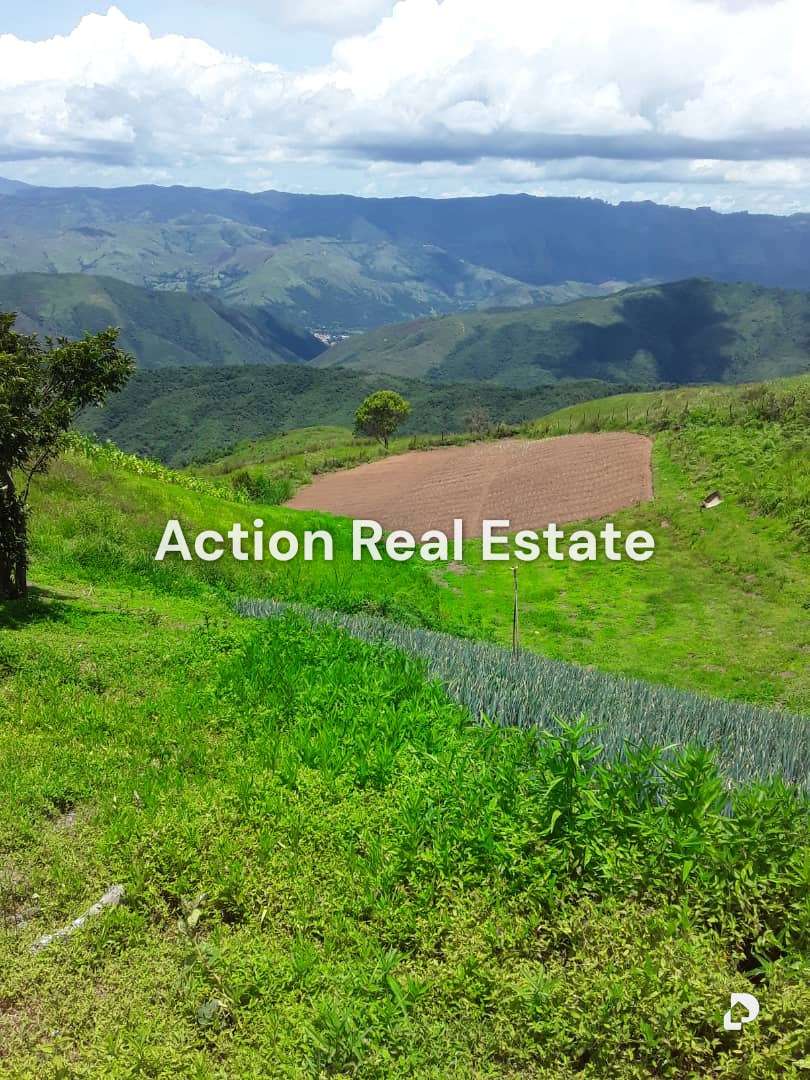 Terreno en San Pedro, Altos Mirandinos – 23