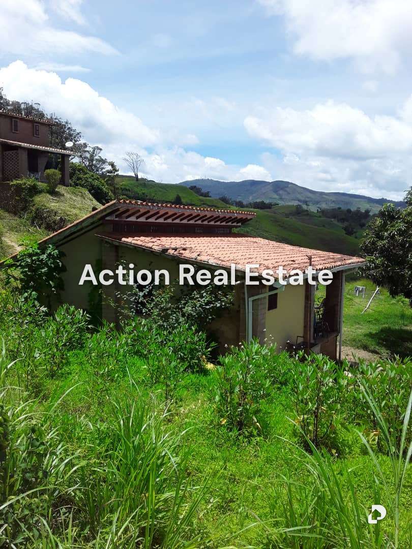 Terreno en San Pedro, Altos Mirandinos – 25