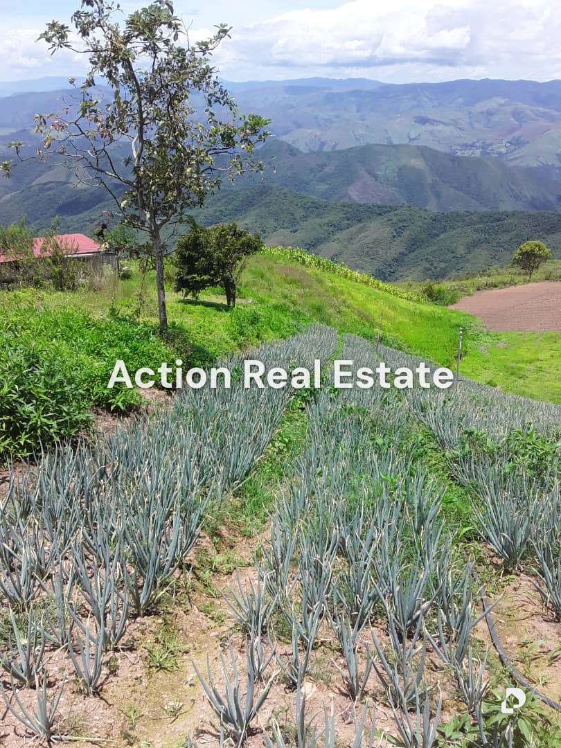 Terreno en San Pedro, Altos Mirandinos – 12