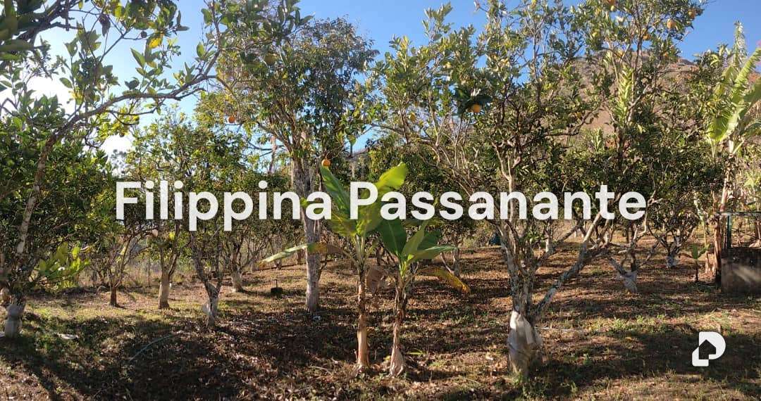 Casa en La Placeta, Caripe – 15
