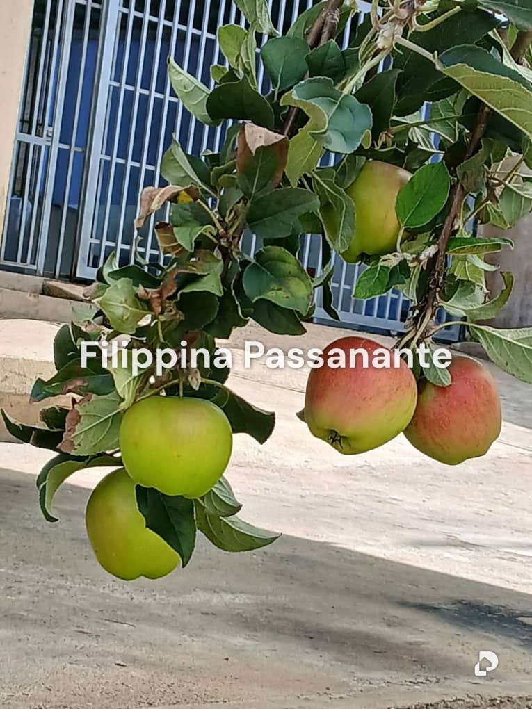 Casa en La Placeta, Caripe – 18