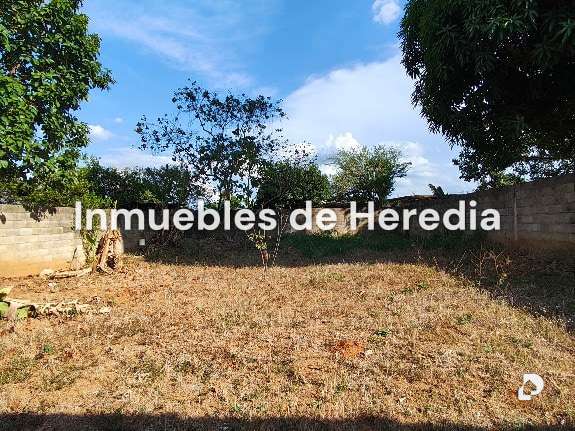House in Tinaquillo – 6