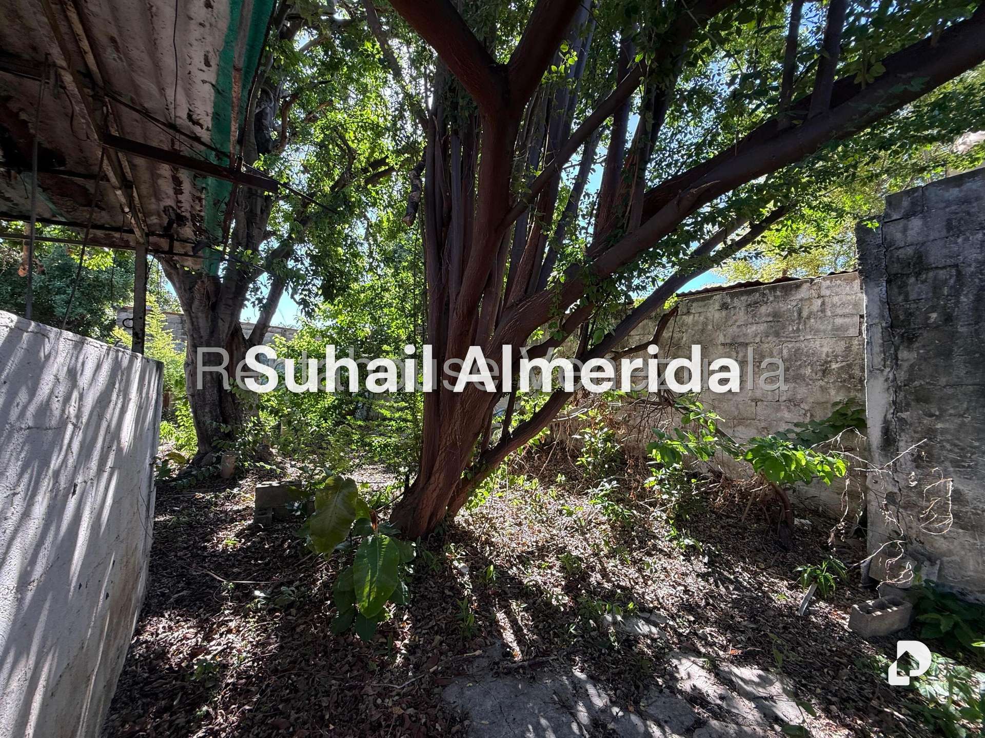 Terreno en Centro, Guacara – 6