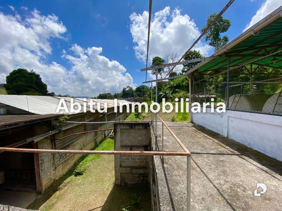 Galpón en Los Teques, Altos Mirandinos – 14