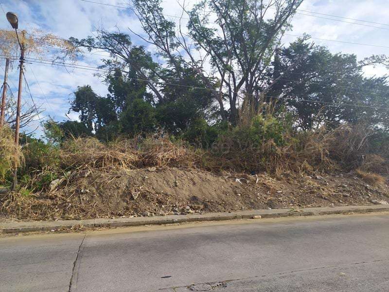 Land in Manantial, Naguanagua - 1