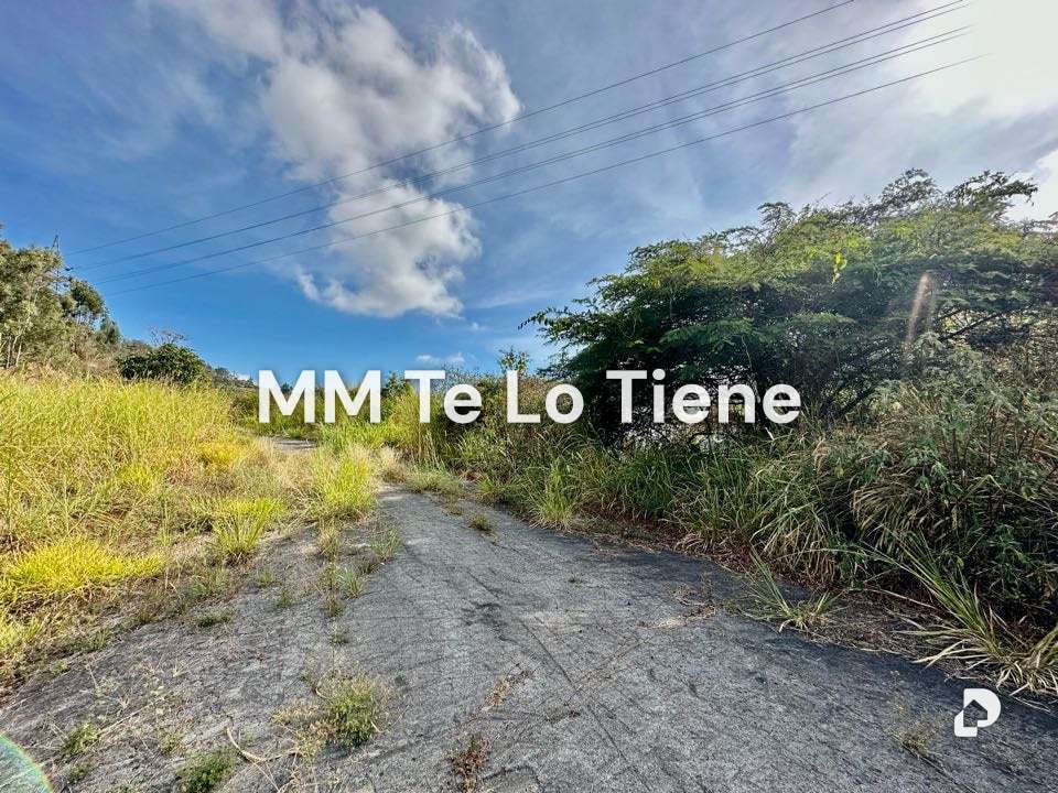 Terreno en Los Teques, Altos Mirandinos – 1