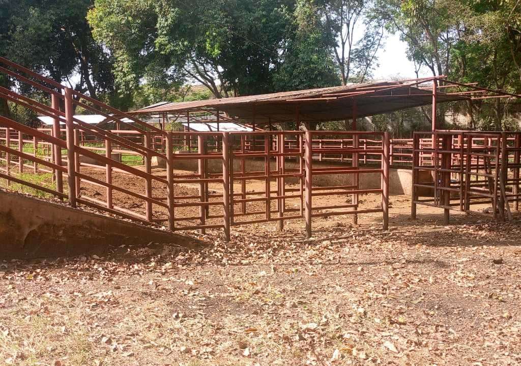 Land in Tinaquillo - 1