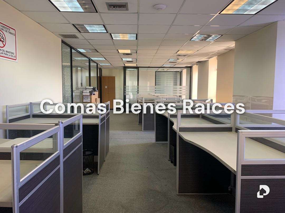 Oficina en Los Palos Grandes, Caracas – 9