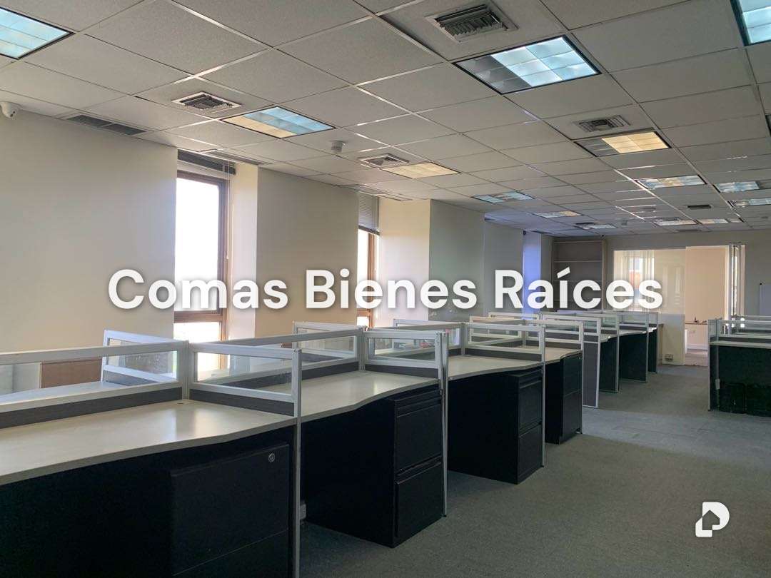 Oficina en Los Palos Grandes, Caracas – 6