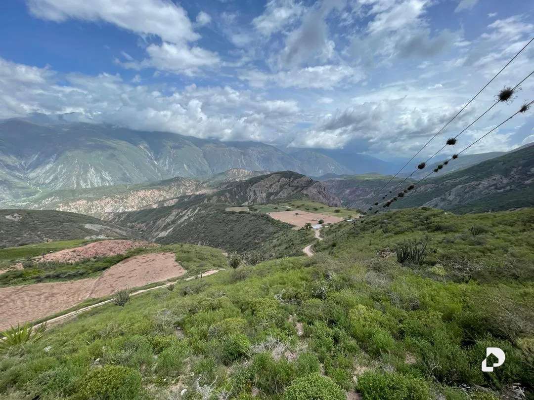 Finca en Cases, Volador, Lagunillas – 9
