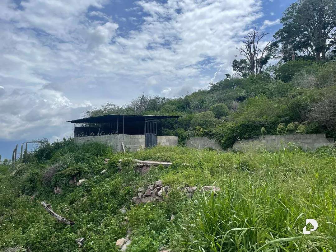 Finca en Cases, Volador, Lagunillas – 34