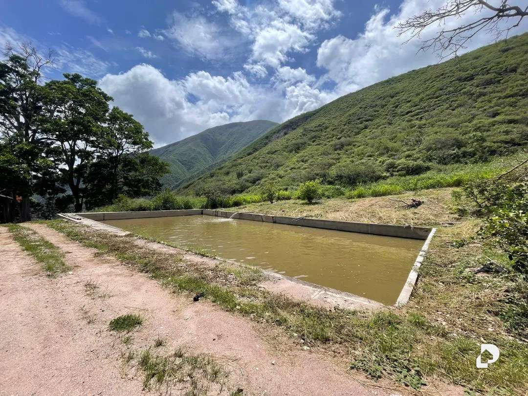 Finca en Cases, Volador, Lagunillas – 10