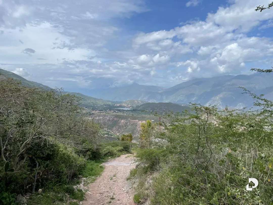 Finca en Cases, Volador, Lagunillas – 26