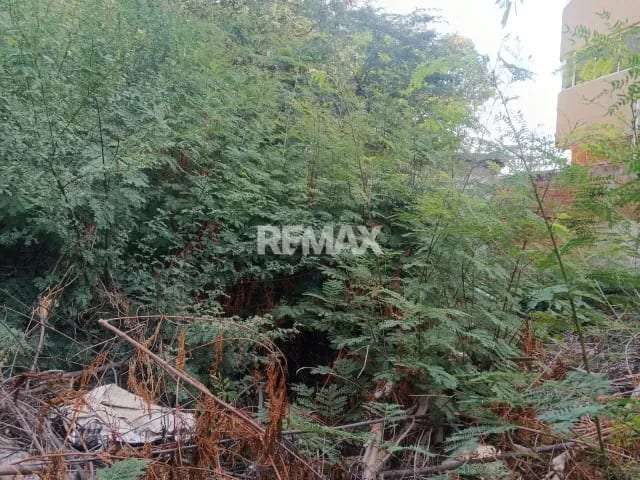 Terreno en Valle Frío, Maracaibo - 1
