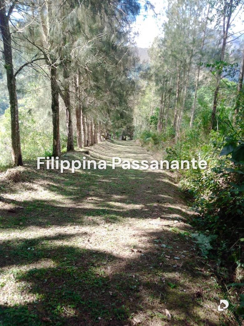 Finca en El Guácharo, Caripe – 1